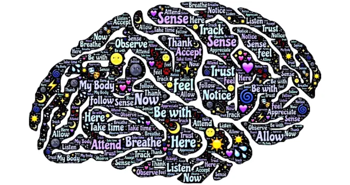 Activité du cerveau en hypnose thérapeutique – communication entre cortex préfrontal et insula, conscience et détente mentale.