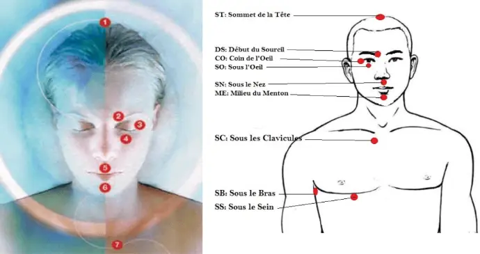 Schéma des points de tapotement EFT sur le visage et le corps selon la technique de libération émotionnelle