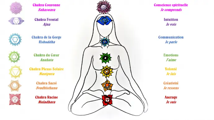 Schéma illustré des 7 chakras sur une silhouette féminine en méditation, avec noms en sanskrit, couleurs, symboles et significations (Ancrage, Créativité, Volonté, Émotions, Communication, Intuition, Conscience)